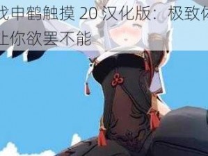 游戏申鹤触摸 20 汉化版：极致体验，让你欲罢不能