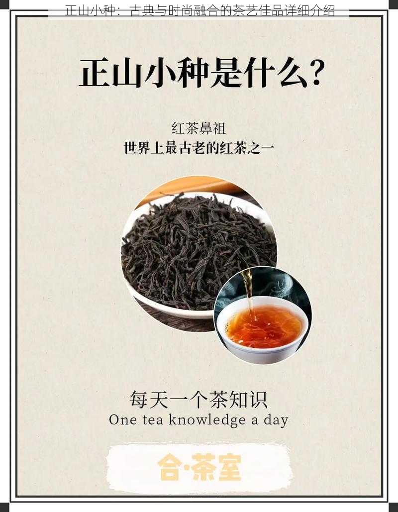 正山小种：古典与时尚融合的茶艺佳品详细介绍