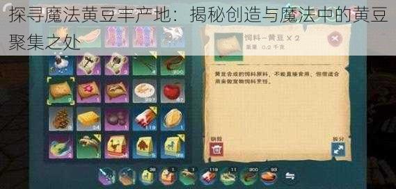 探寻魔法黄豆丰产地：揭秘创造与魔法中的黄豆聚集之处