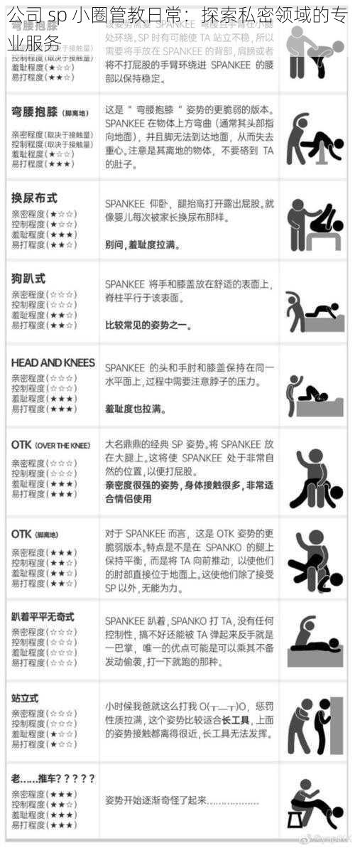 公司 sp 小圈管教日常：探索私密领域的专业服务