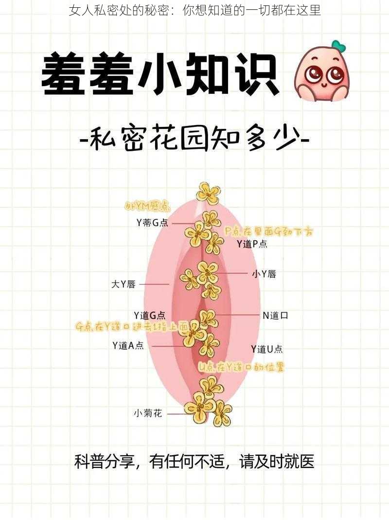 女人私密处的秘密：你想知道的一切都在这里