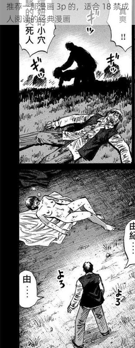 推荐一部漫画 3p 的，适合 18 禁成人阅读的经典漫画